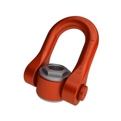 Anneau de levage DSS UP