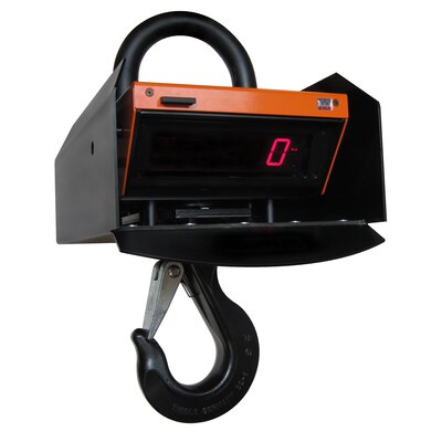 Crane scale KGW
