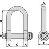 Manille de levage Accessoires levage