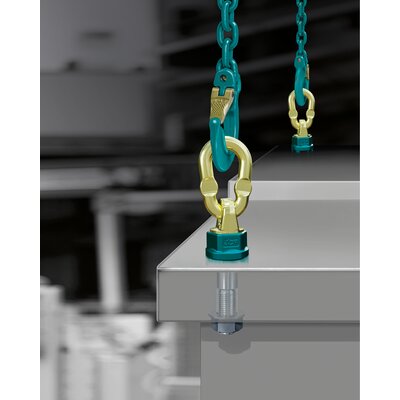 Anneau de levage articulé à émerillon TP