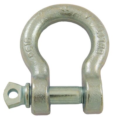 Bow shackle with screw pin