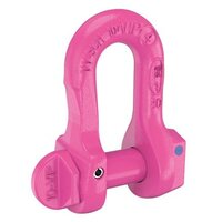 Shackle RUD VIP Foolproof | Traction Levage