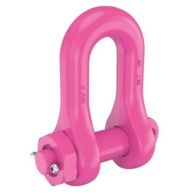 Boulon et goupille de la manille RUD VIP Foolproof