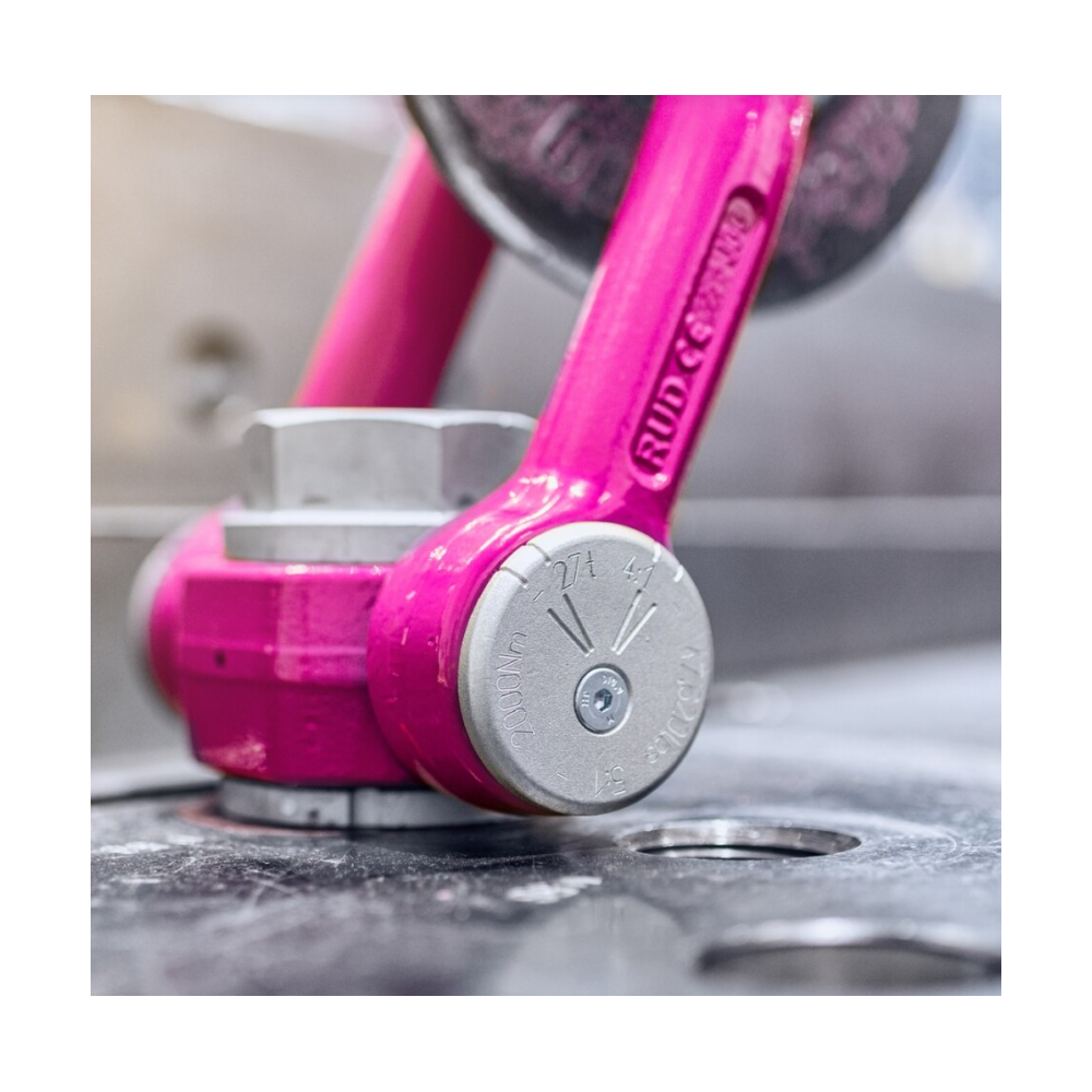 Anneau de levage RUD ACP-TURNADO