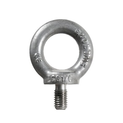 anneau DIN 580 inox